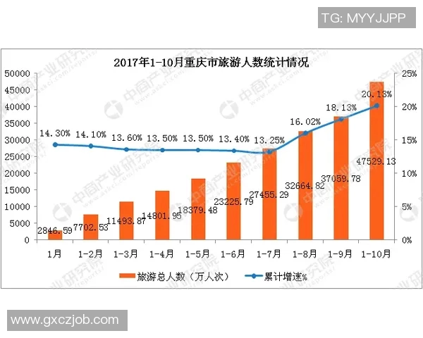数据分析:重庆足球队的配合表现 数据分析:重庆足球队的配合表现