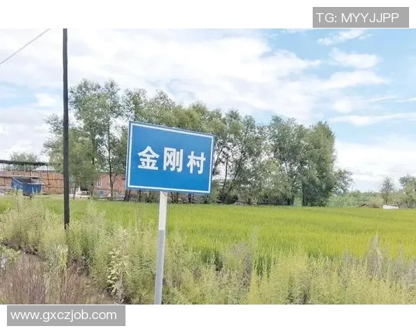 杭州足球队的转型之路:从传统到现代的深度解析与展望 杭州足球队的转型之路:从传统到现代的深度解析与展望