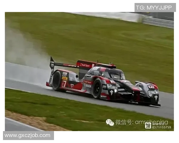 武汉羽毛球队在洲际杯中的团队协作表现分析与点评